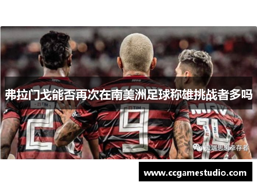 弗拉门戈能否再次在南美洲足球称雄挑战者多吗